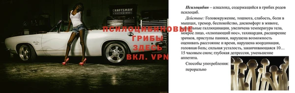 MDMA Premium VHQ Лихославль