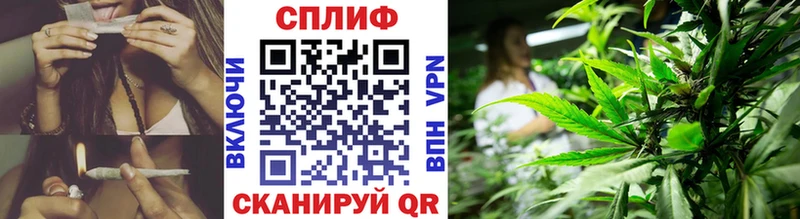 Конопля SATIVA & INDICA  hydra как войти  Чегем 